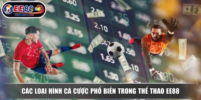 Các loại hình cá cược phổ biến trong thể thao EE88