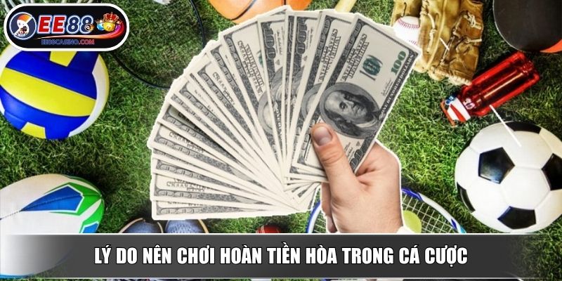 Lý do nên chơi hoàn tiền hòa trong cá cược